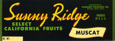 Sunny Ridge